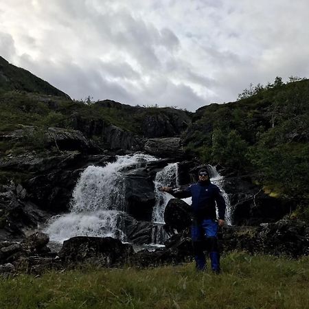 Gullesfjord Camping Ngoại thất bức ảnh
