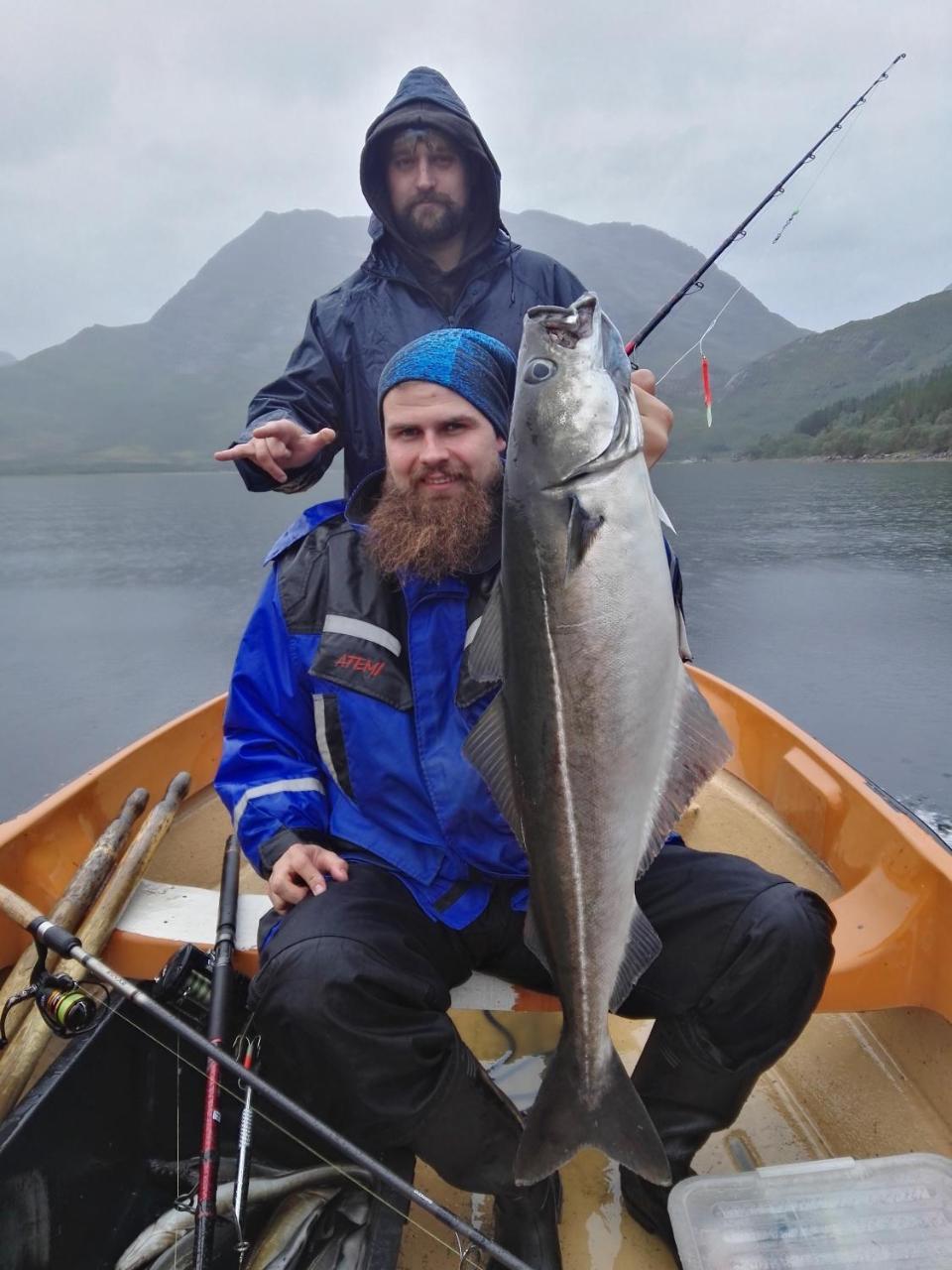 Gullesfjord Camping Ngoại thất bức ảnh